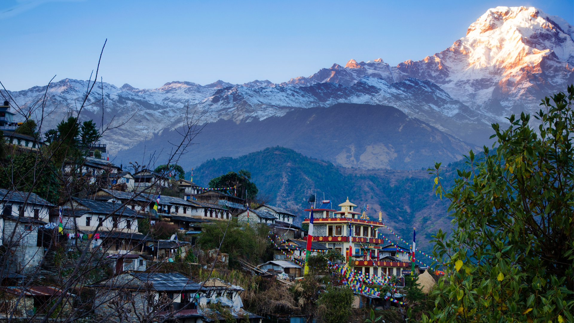 Nepal - Beauty With Wildlife