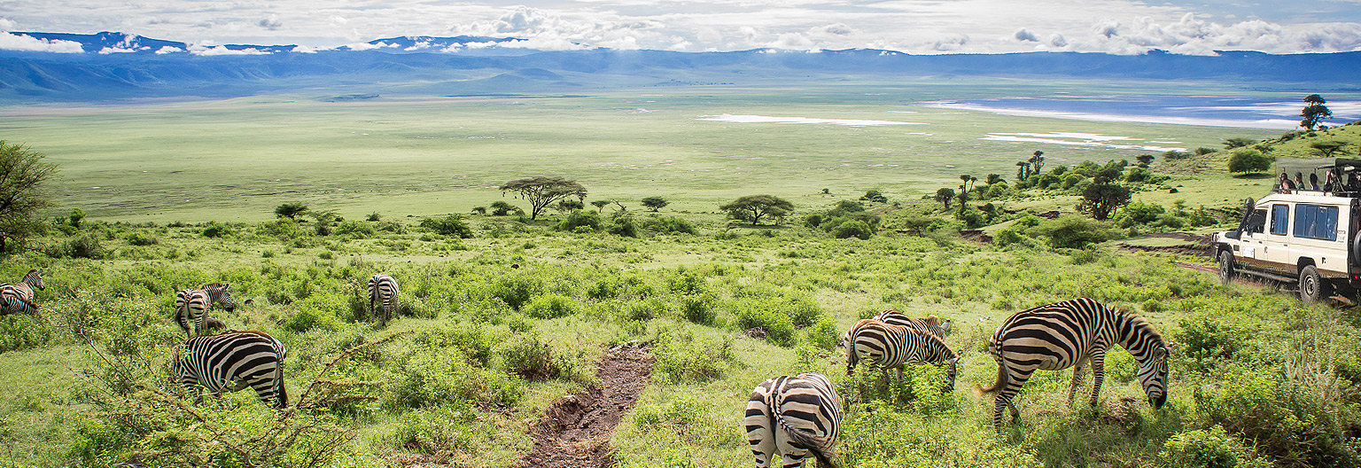 Highlights Of Tanzania